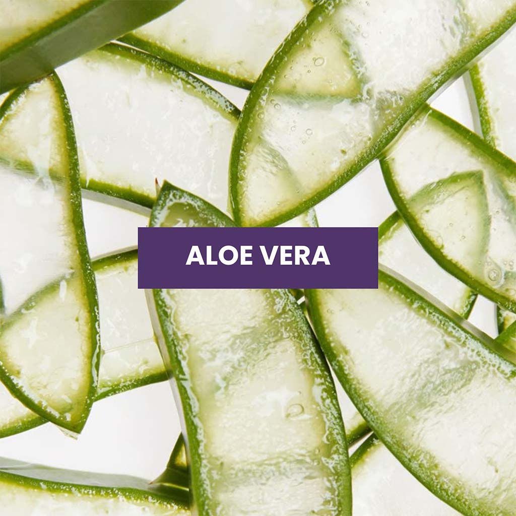 Aloe vera