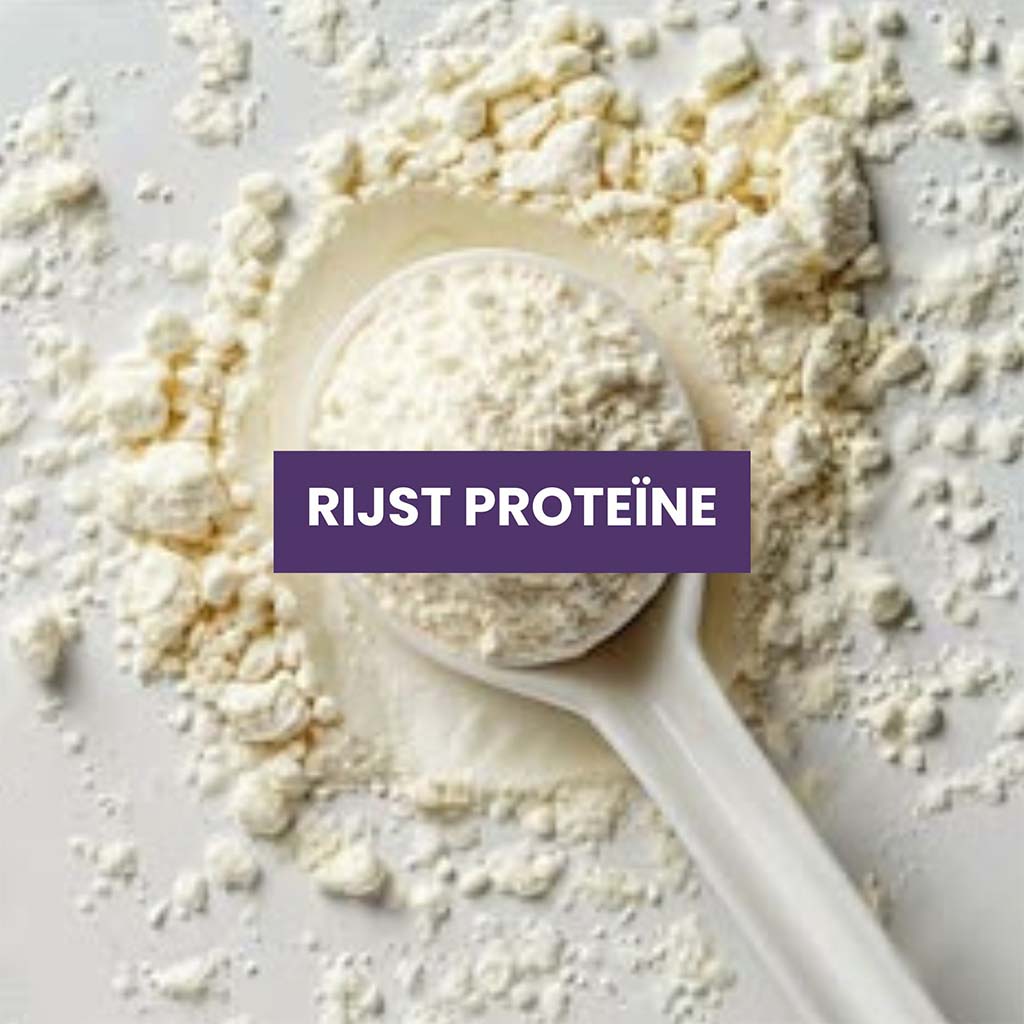 Rijst proteïne