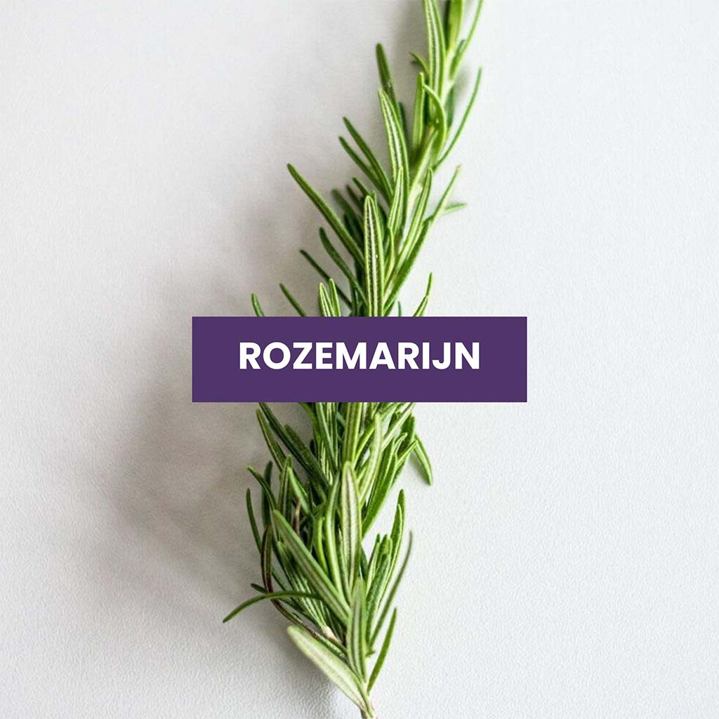 Rozemarijn