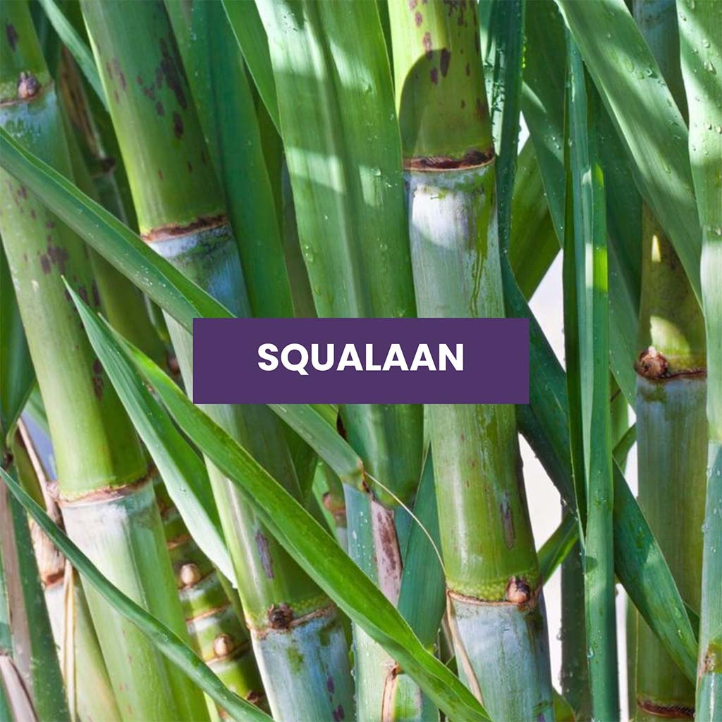 Squalaan