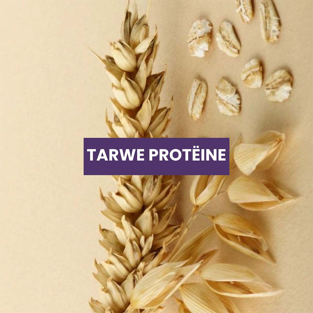 Tarwe Protëine